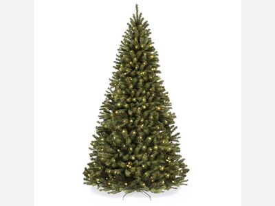 Sunland-Tujunga Christmas Tree Lighting